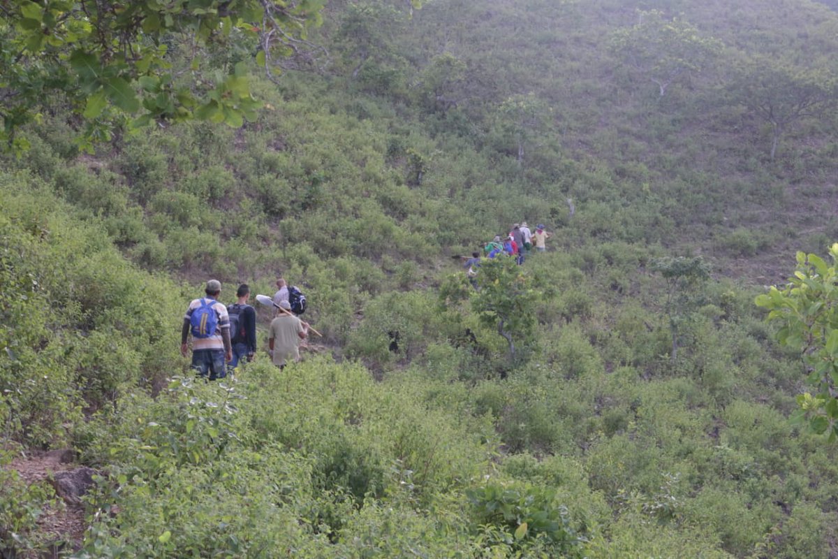 SIMONTFARC's tweet photo. Comenzó la ejecución del proyecto de conducción de agua hacia el @SIMONTFARC, que beneficia también al barrio El Mirador del corregimiento San José de Oriente. Seguimos avanzando en este bello trabajo cuya mano de obra es de  ambas comunidades, sin duda un motivo para celebrar. https://t.co/pLZG7cRioh