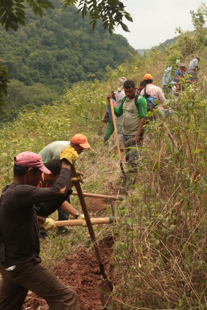 SIMONTFARC's tweet photo. Comenzó la ejecución del proyecto de conducción de agua hacia el @SIMONTFARC, que beneficia también al barrio El Mirador del corregimiento San José de Oriente. Seguimos avanzando en este bello trabajo cuya mano de obra es de  ambas comunidades, sin duda un motivo para celebrar. https://t.co/pLZG7cRioh