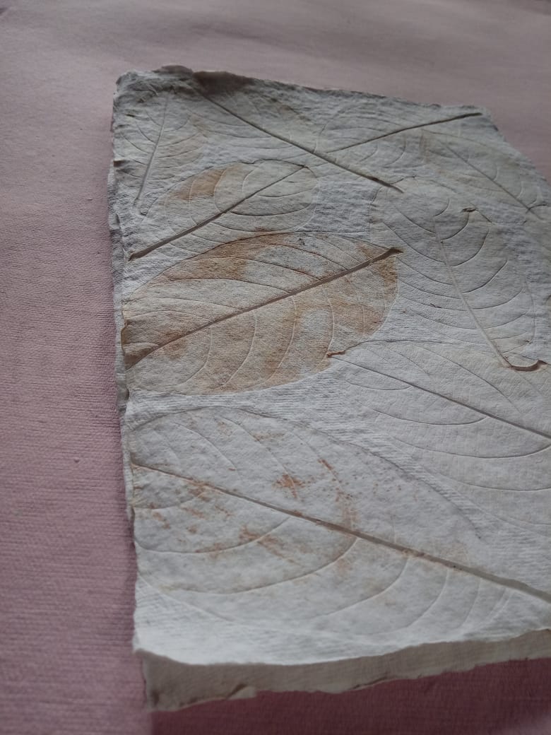 kavyamadappa's tweet photo. Leaf impressions. #Notebook #handmadepaper https://t.co/JbVNZTvhtd