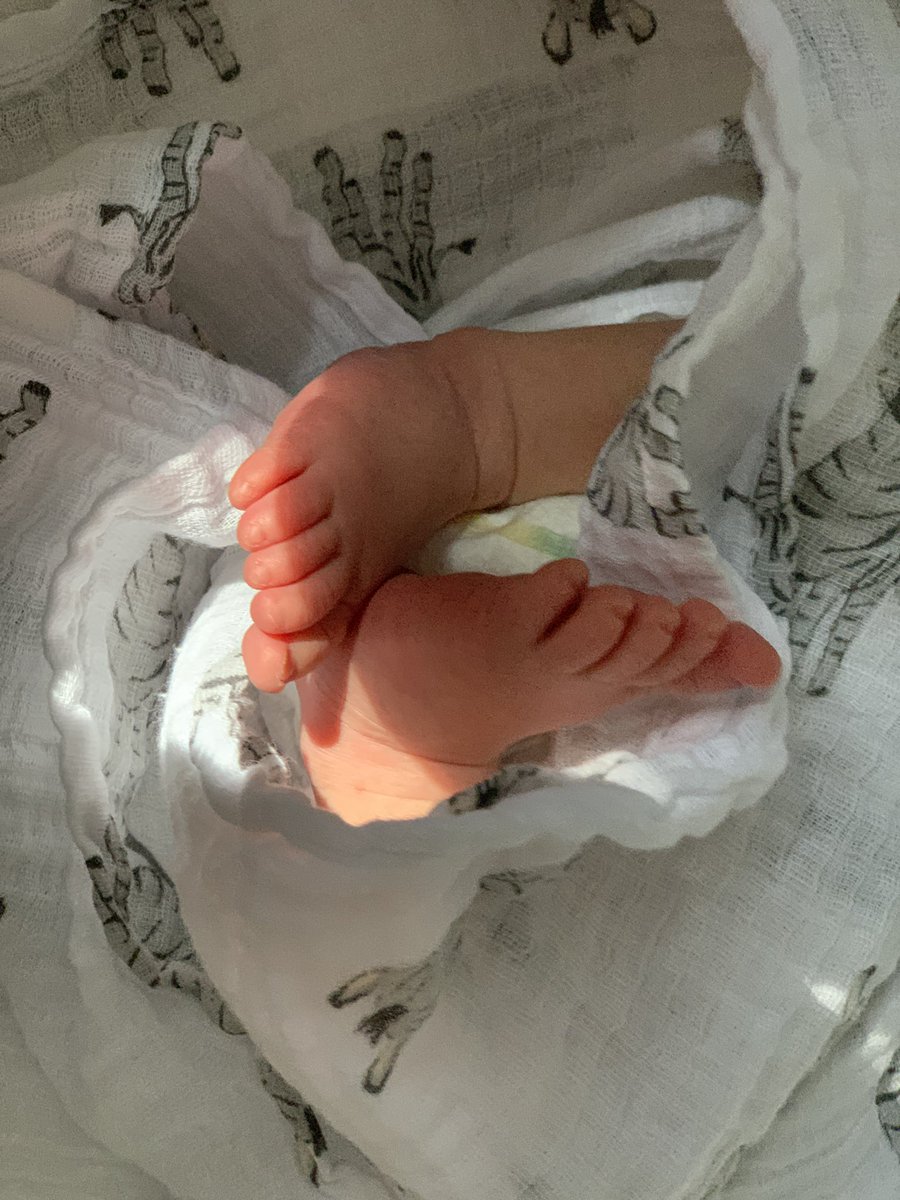 EllenieOfficial's tweet photo. Happy one week birthday to our little man who came into this world on Wednesday, July 31, 2019! 🍼 Hello baby Christian Alexander Gabrielian. Mommy and daddy are so in love! 💙 @PISTOLSandPINTS 😘 https://t.co/oME6QqczsU