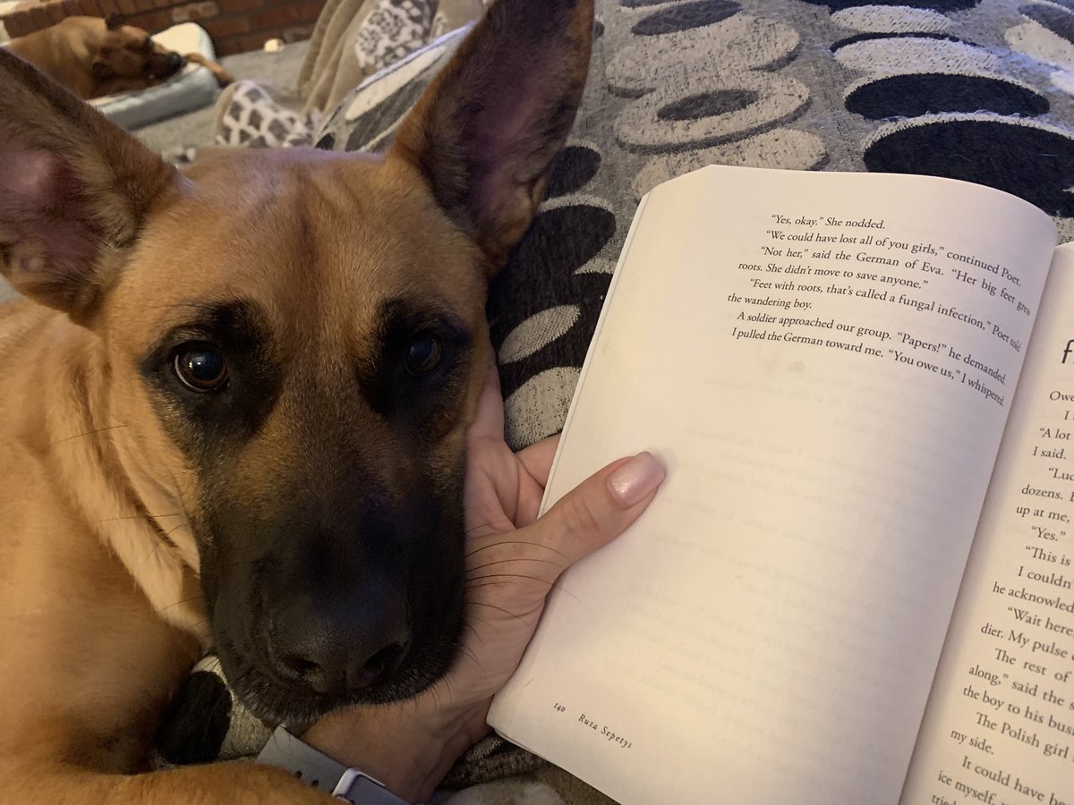 tarakaiser7's tweet photo. Somebody else wanted to read Salt to the Sea with me! #allschoolread #summerreading @RutaSepetys @ChardonHS #WeAreChardon https://t.co/2JL43hxd5i