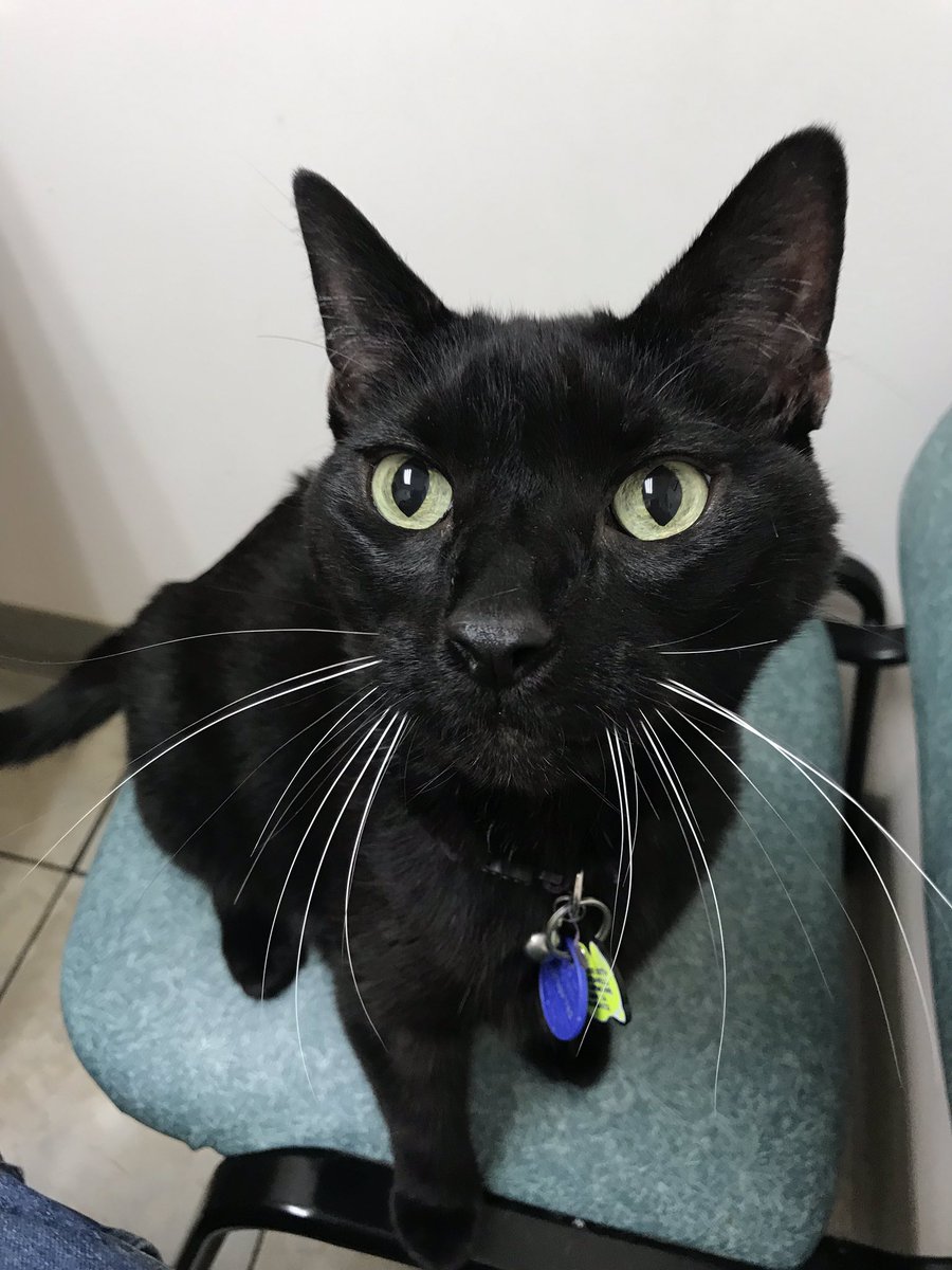 Greg Guidarelli tweet media