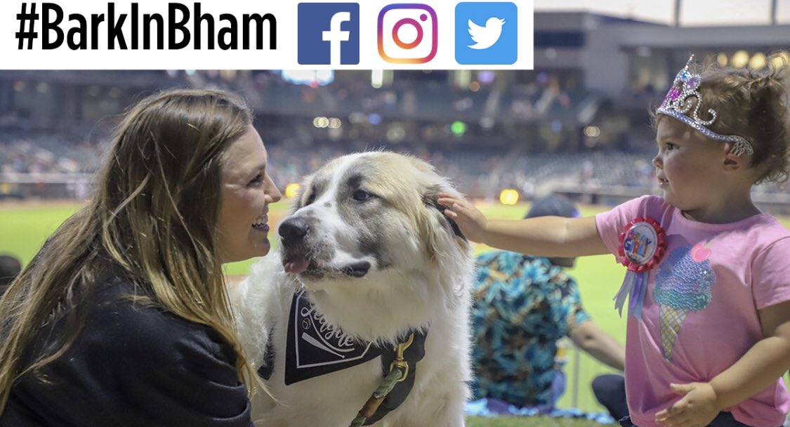 BhamBarons's tweet photo. Share your Wet Nose Wednesday adventures with us using #BarkInBham for a chance to be featured on the big screen! https://t.co/qcfplSYk94