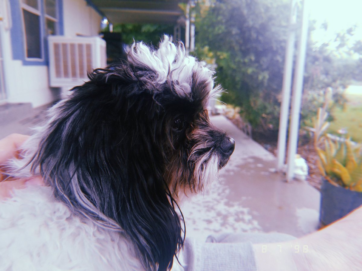 Andrew Berkly tweet media