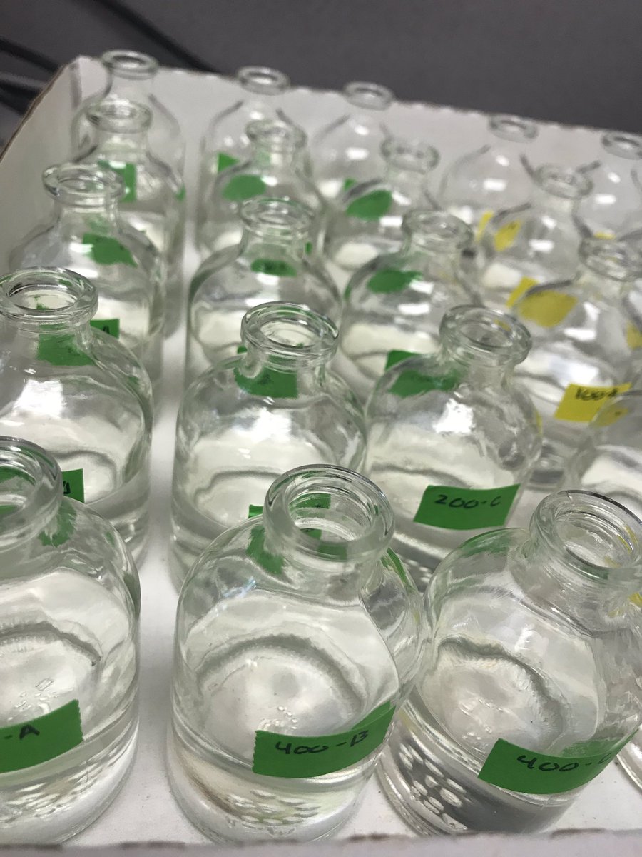 RocksandRivers's tweet photo. Daphnia farming for phosphorus trials round 2 is in progress! #limnology #prouddaphniamomma https://t.co/HXiUwm1TFT
