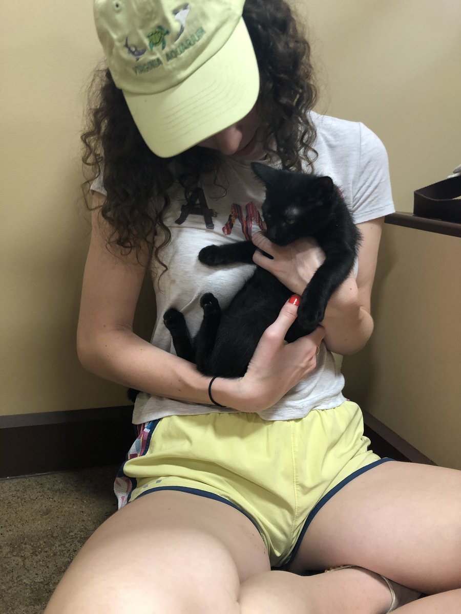 annie_thomass's tweet photo. here’s some pics proving i am in fact a hufflepuff https://t.co/xTmrJ00mUj