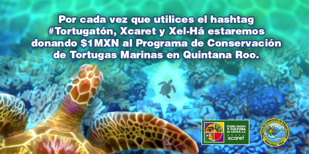 XelHaPark's tweet photo. ¡Apoyemos al programa de conservación de la Tortuga Marina utilizando el #Tortugatón! 🐢 https://t.co/Y1mZRFum5l