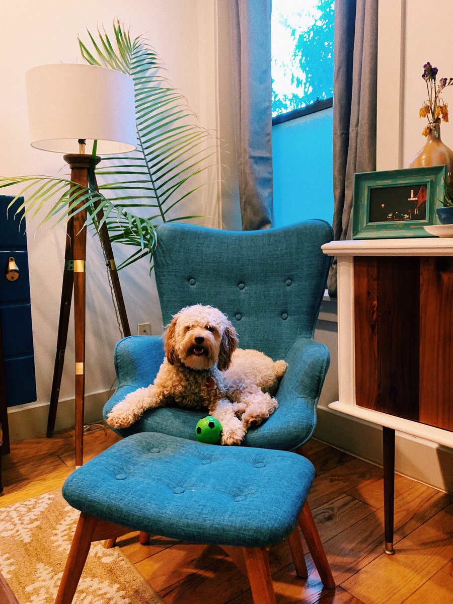 sojogo12's tweet photo. We’re really into chairs nowadays. https://t.co/3SvfBuRVG2