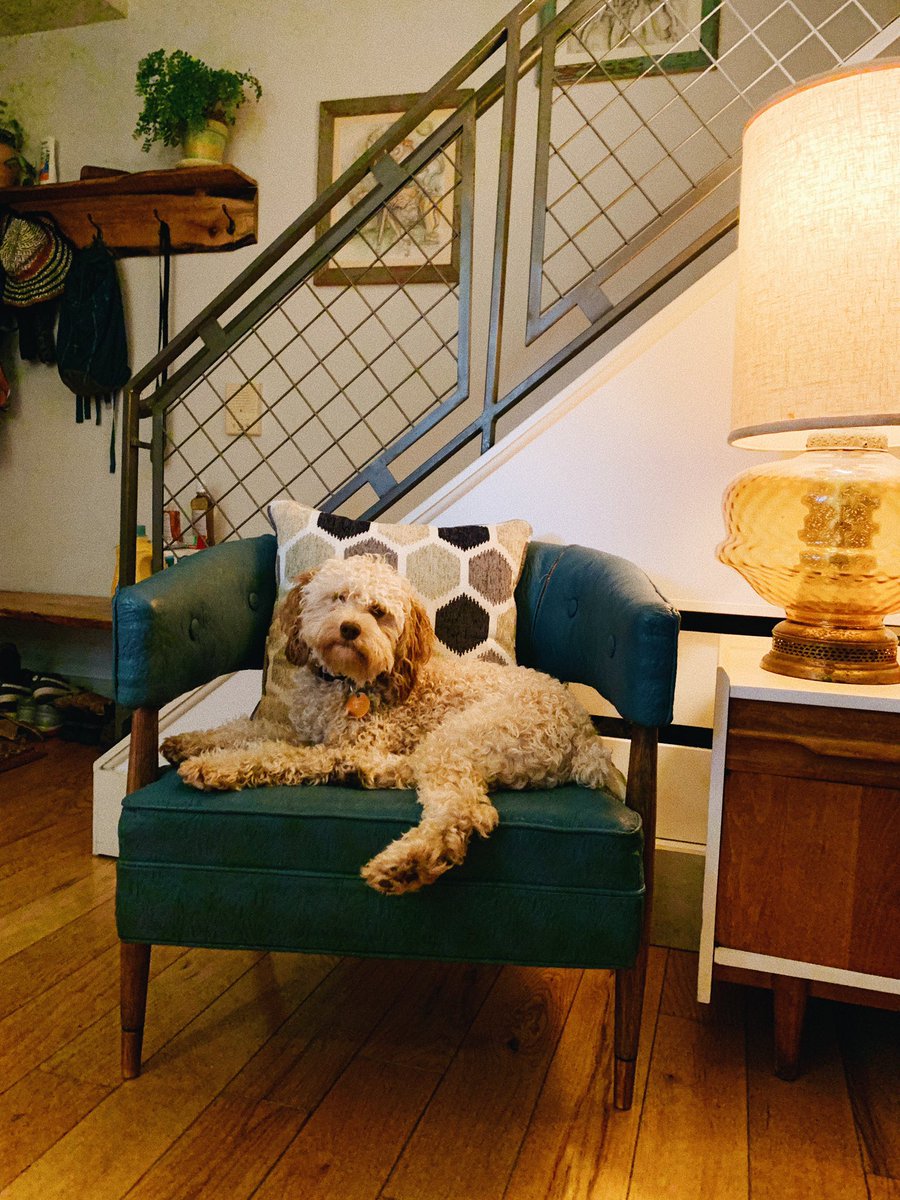 sojogo12's tweet photo. We’re really into chairs nowadays. https://t.co/3SvfBuRVG2