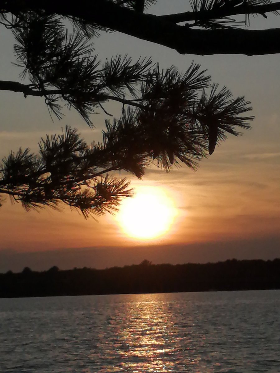 kb2_r's tweet image. Sunset @KillbearPP