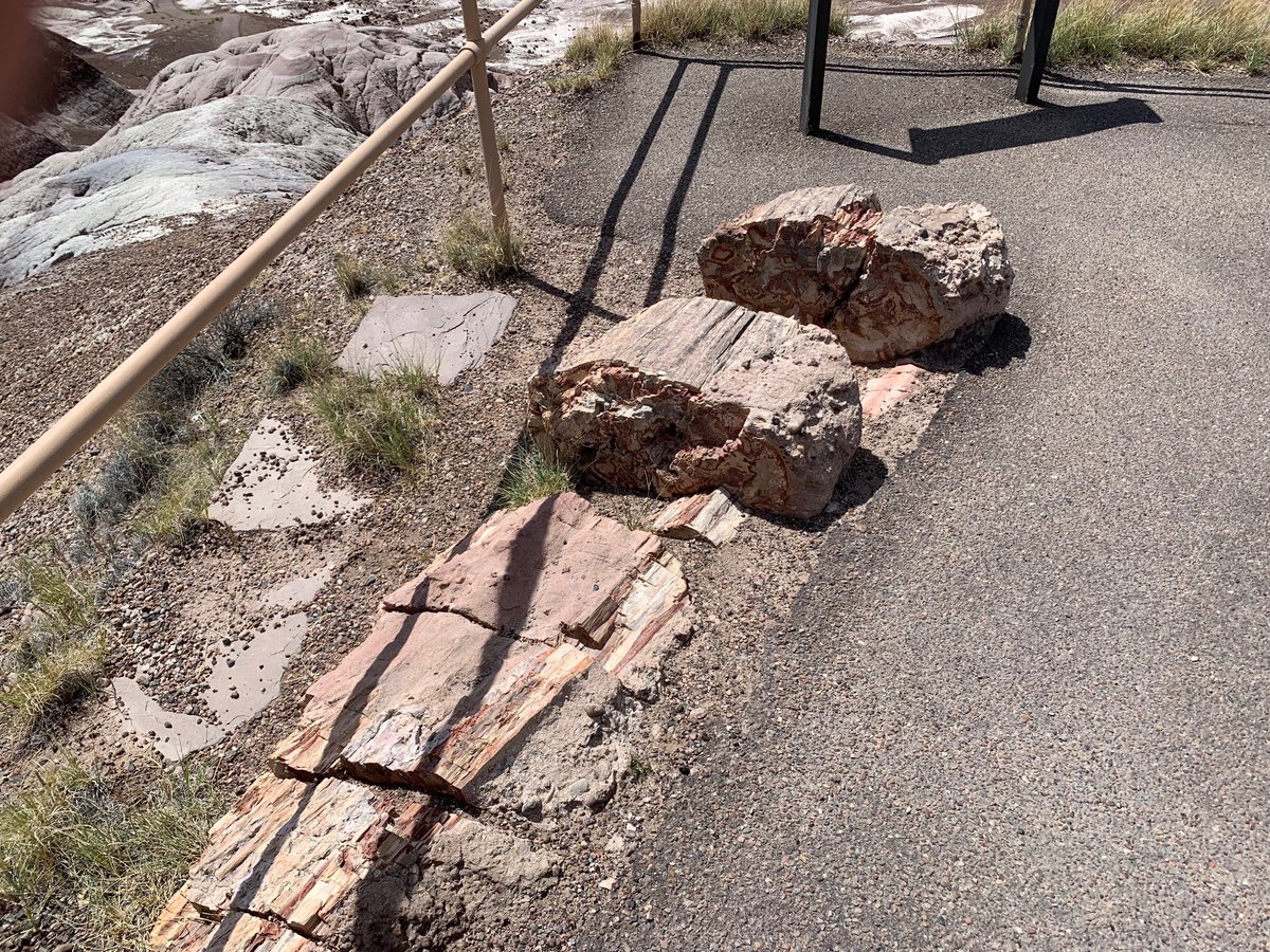 Tclaps again after the painted desert and petrified forest today.