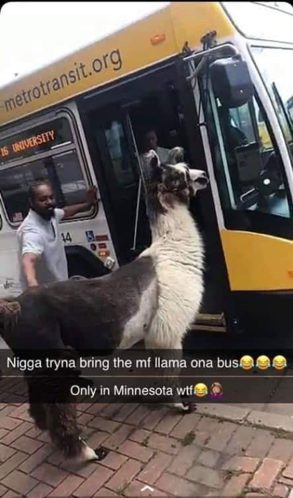 . <a href="/MetroTransitMN/">Metro Transit</a> did this really happen? #MN #Mpls #Minneapolis <a href="/Metrotransprobs/">metro transit probs</a> <a href="/MetCouncilNews/">Metropolitan Council</a> #MNDFL #stribpol #tcnt #narn