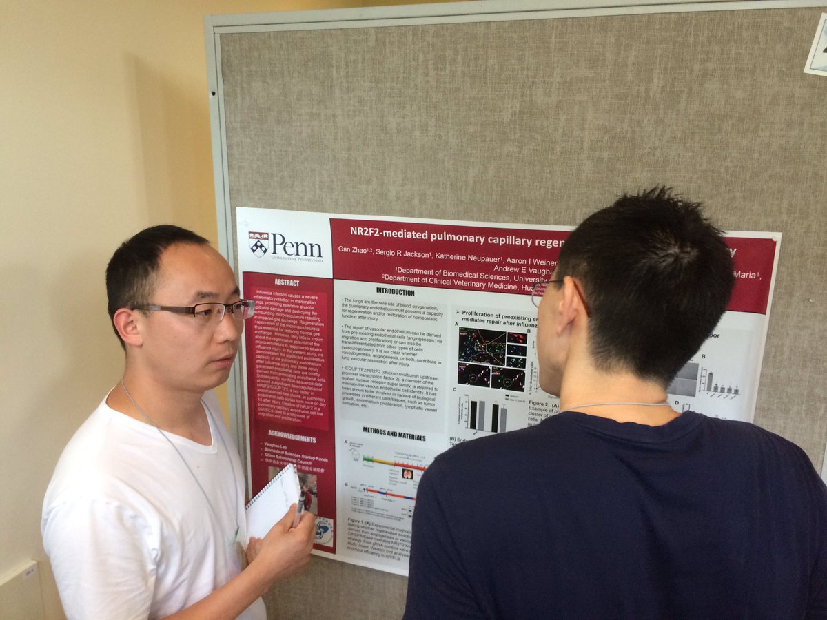 Andy Vaughan also on bluesky (@vaughandy) on Twitter photo Vaughan lab trainees kicking ass <a href="/GRCLung2019/">GRC in Lung Development, Injury and Repair 2019</a> <a href="/aaiweiner/">Aaron Weiner</a> Vaughan lab trainees kicking ass <a href="/GRCLung2019/">GRC in Lung Development, Injury and Repair 2019</a> <a href="/aaiweiner/">Aaron Weiner</a>