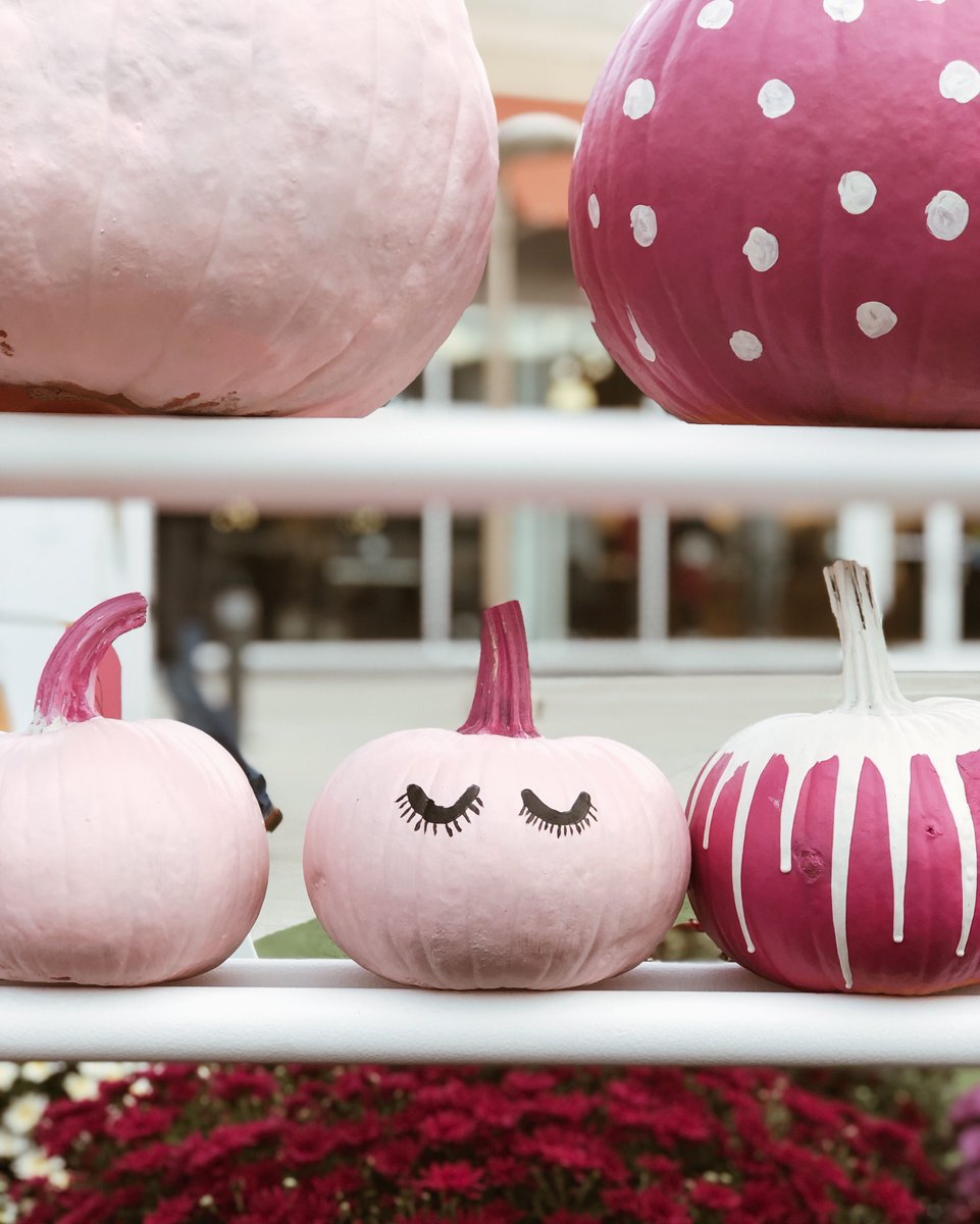 All of these back-to-school commercials have us ready for pumpkin season 🙌

Of course, like everything we do, pumpkin season has a twist. 
We created a #pumpkinwall for our client last year to bring an interactive (&amp; instagrammable) element with these cute pumpkins!