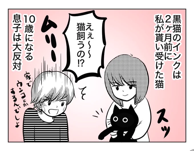 今日は #世界猫の日 とのこと。
良い相棒でいれますように。 