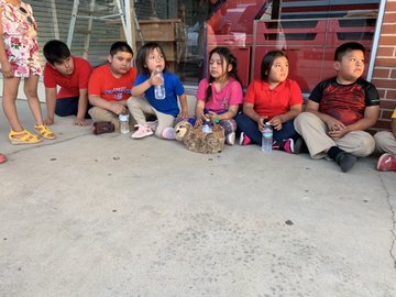 View image on Twitter