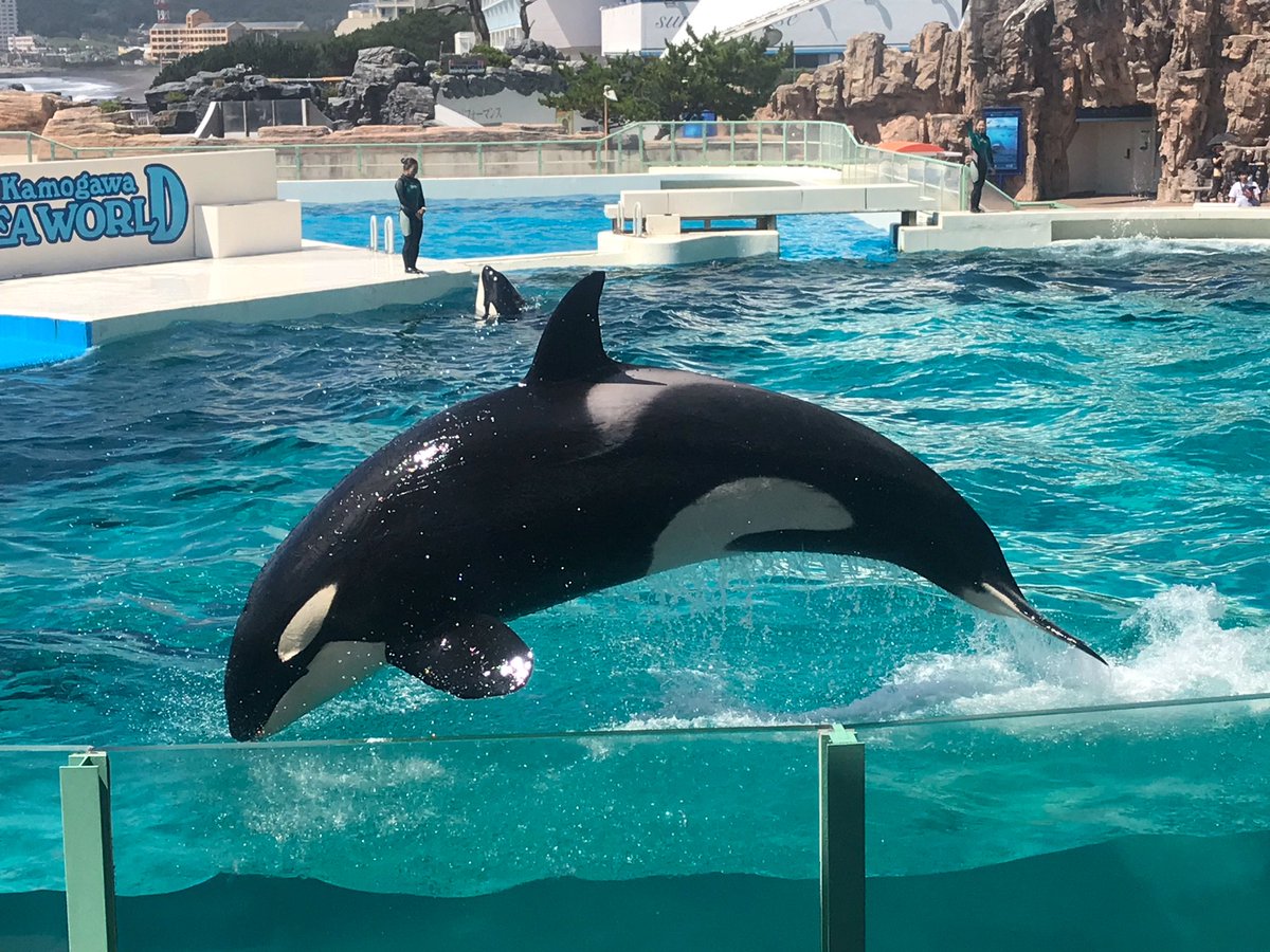 鴨川シーワールドと養老渓谷に家族で行ってきた Togetter