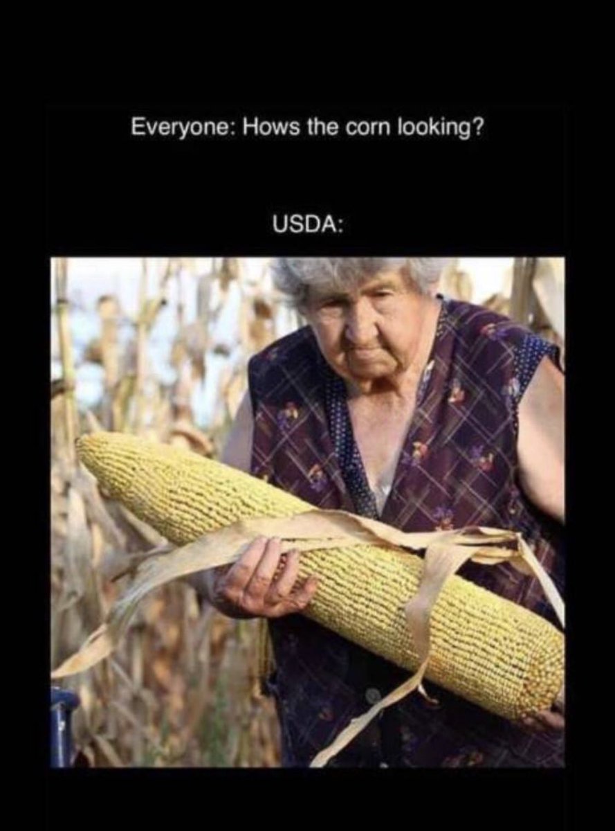 JMHitch13's tweet image. This hit home. 😂😂😂😂 #USDAReport