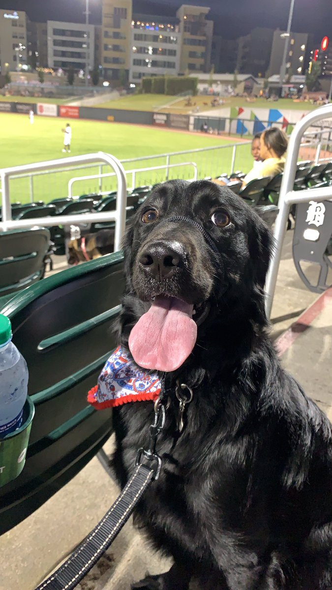 alana_schou10's tweet photo. @BhamBarons #BarkInBham https://t.co/V3CadKaNMe