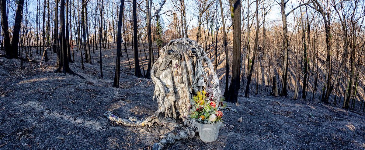 Today's ABC 📻 - The best film soundtracks of all time, why most men don't carry purses or handbags with <a href="/howtoreadadress/">Lydia Edwards</a>, volunteering abroad and an incredible new VR film by Rolf de Heer and Mollly Renolds, The Waiting Room featuring this little fella...