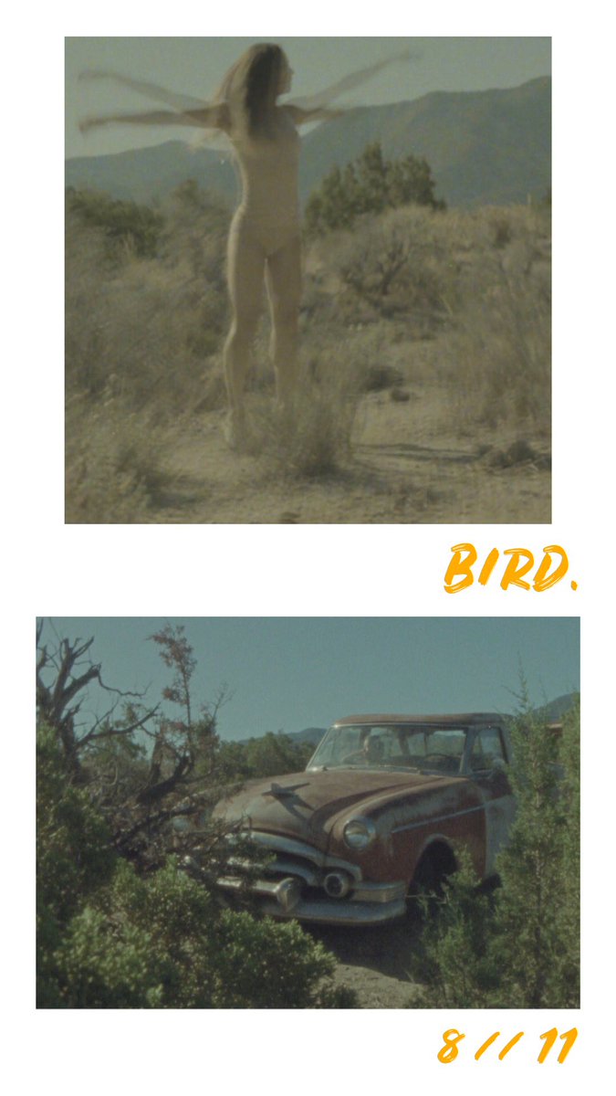 humanbonesfl's tweet image. 🌵🌾🌵🌾🌵