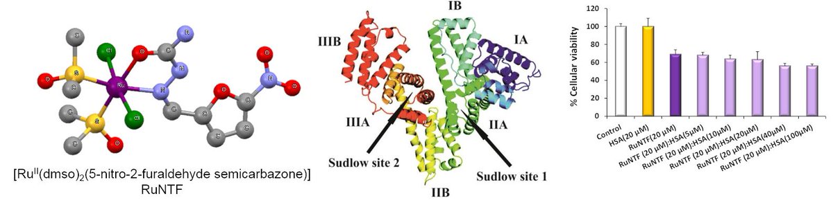 Molecules_MDPI's tweet photo. #mdpimolecules Interaction with Blood Proteins of a #Ruthenium(II) Nitrofuryl Semicarbazone Complex: Effect on the #Antitumoral Activity https://t.co/Nwp0Hitshw #cancer #cytotoxicity #proteinbinding #fluorescence #humanserumalbumin https://t.co/q56t18Vix1