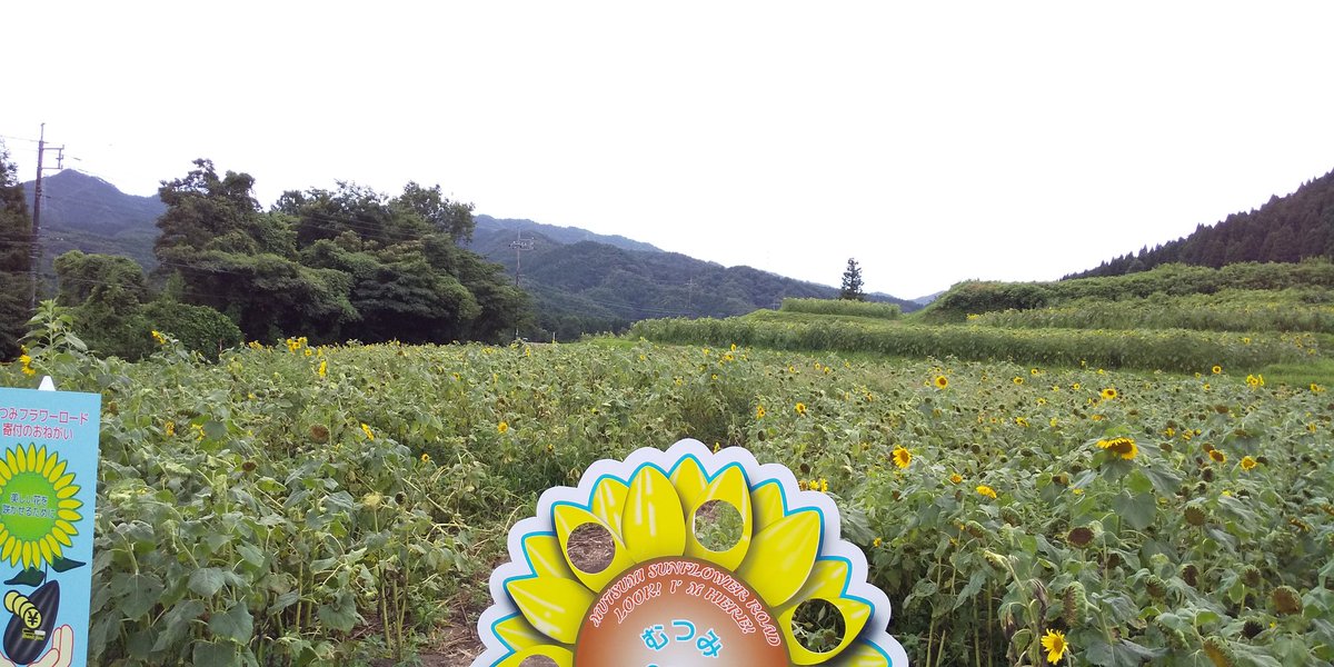 むつみ 昆虫 王国