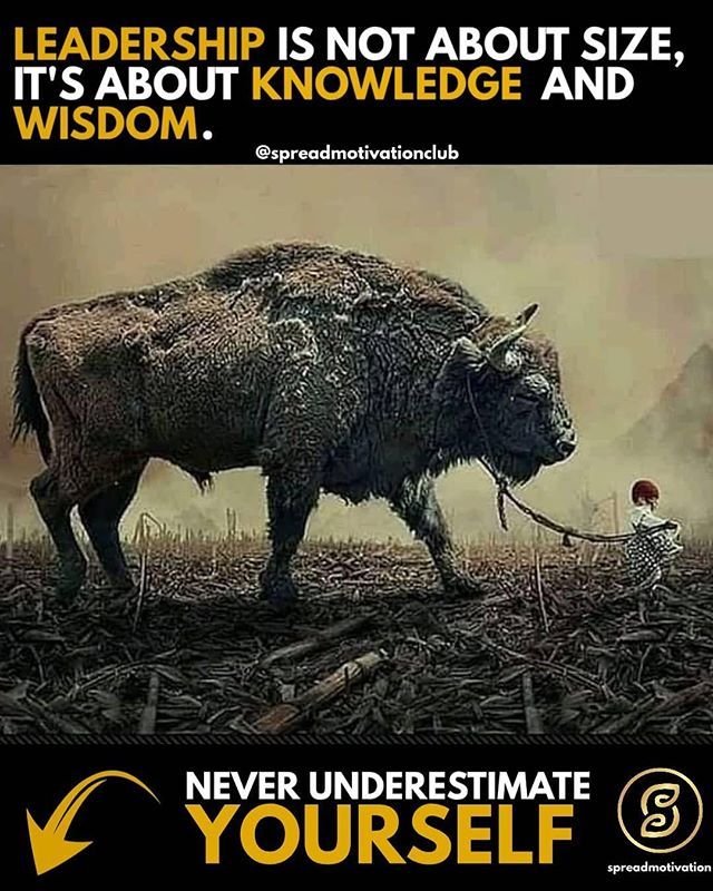 thinkcge's tweet photo. Reposting @spreadmotivationclub:⠀
...⠀
"Never lose your confidence in yourself. You may face failure, you may face setback but be strong. This will help you eventually. The key to winning is to stay persistent. Be the leader of your own life. .⠀
.⠀
.… https://t.co/x0ROtEuZYx https://t.co/aMExF13os4