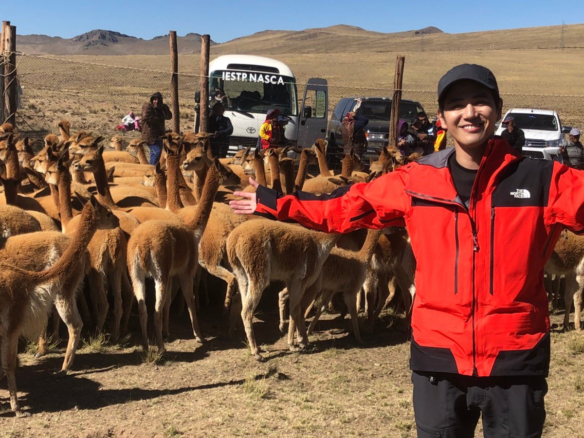 中山卓也 この動物アルパカに見えますが 実は違います 僕もこの動物のこと ペルー に行くまで全く知りませんでした 今週の ふしぎ発見 は この謎の動物に大注目です T Co M6sj59ra4z 中山卓也 この動物アルパカに見えますが 実は違います 僕もこの動物のこと ペルー に行くまで全く知りませんでした 今週の ふしぎ発見 は この謎の動物に大注目です T Co M6sj59ra4z