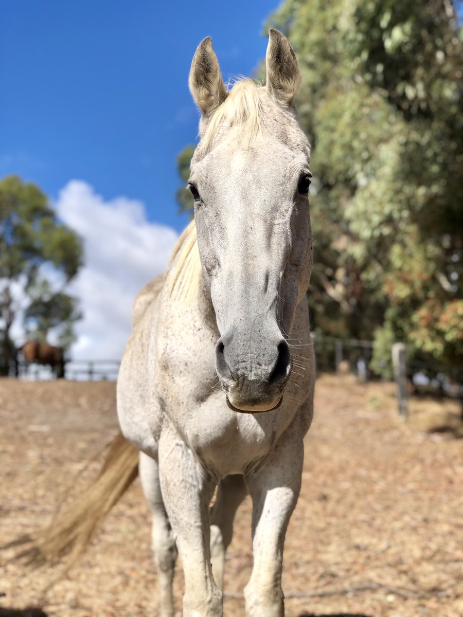 Contract Racing tweet media