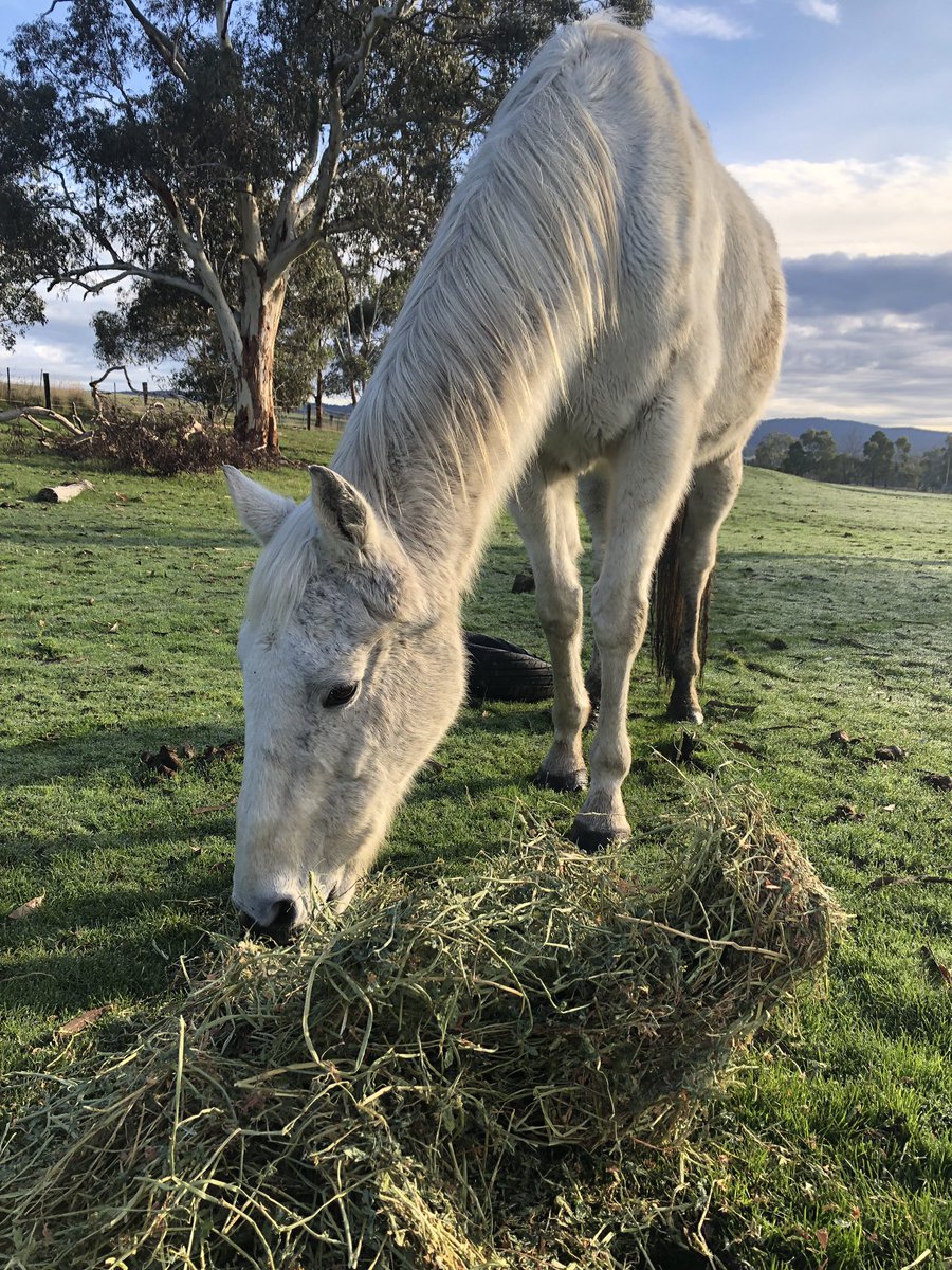 Contract Racing tweet media