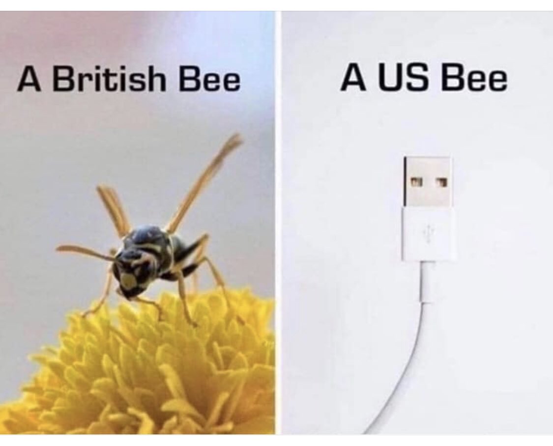 🦞 tweet media