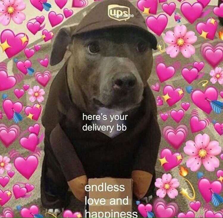 Carlos de Vil. (@throttenpuppy) on Twitter photo 