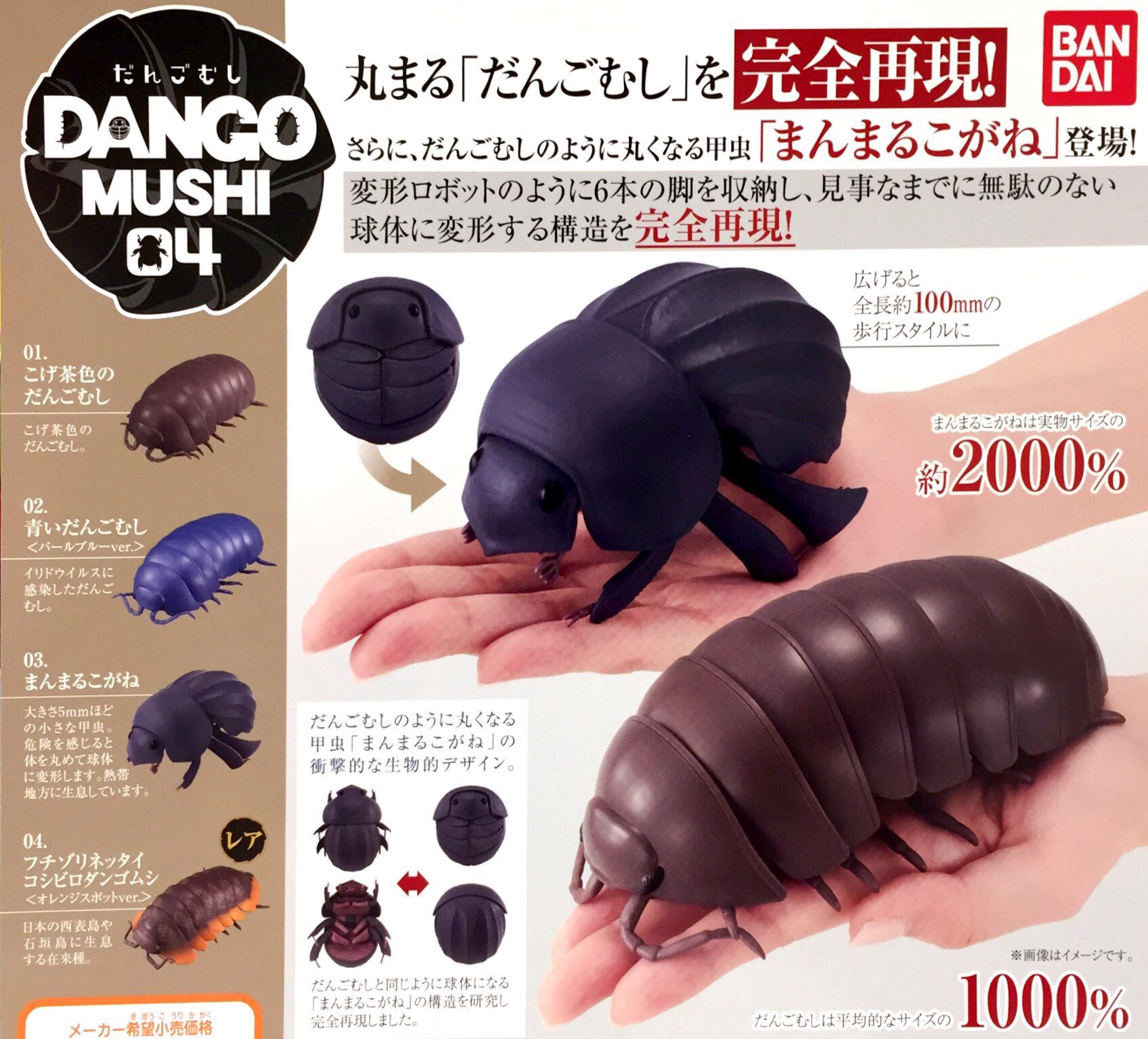 ドリームカプセル イオンモール筑紫野 本日入荷情報 ついに あのダンゴムシとでっかいまんまるこがねが登場しました Dangomushi04 まんまるこがねのリアルな構造が再現されています ぜひその目で確かめてみてはいかが ドリームカプセル イオンモール筑紫野 本日入荷情報 ついに あのダンゴムシとでっかいまんまるこがねが登場しました Dangomushi04 まんまるこがねのリアルな構造が再現されています ぜひその目で確かめてみてはいかが