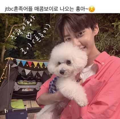 위트💙 tweet media
