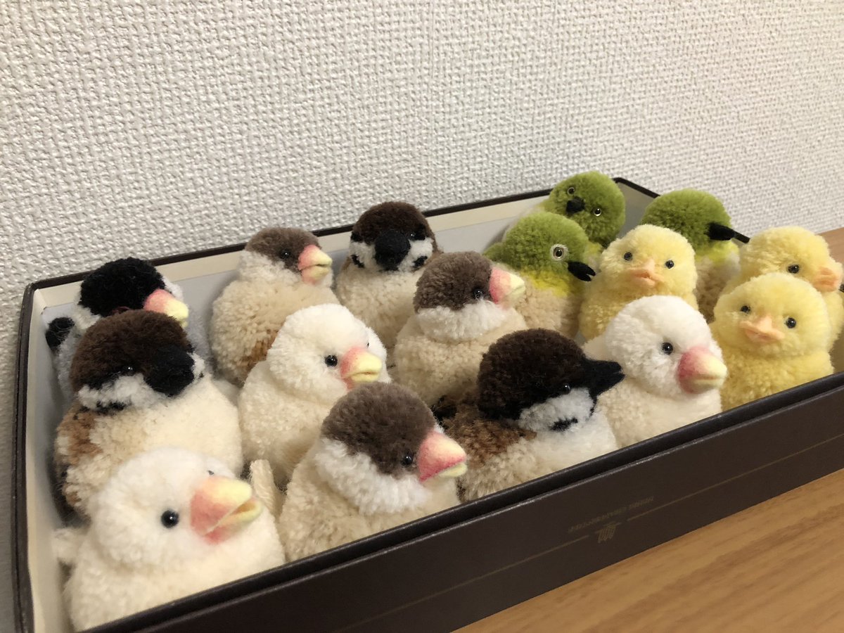 すべての動物画像 75+インコ ポンポン 動物 作り方