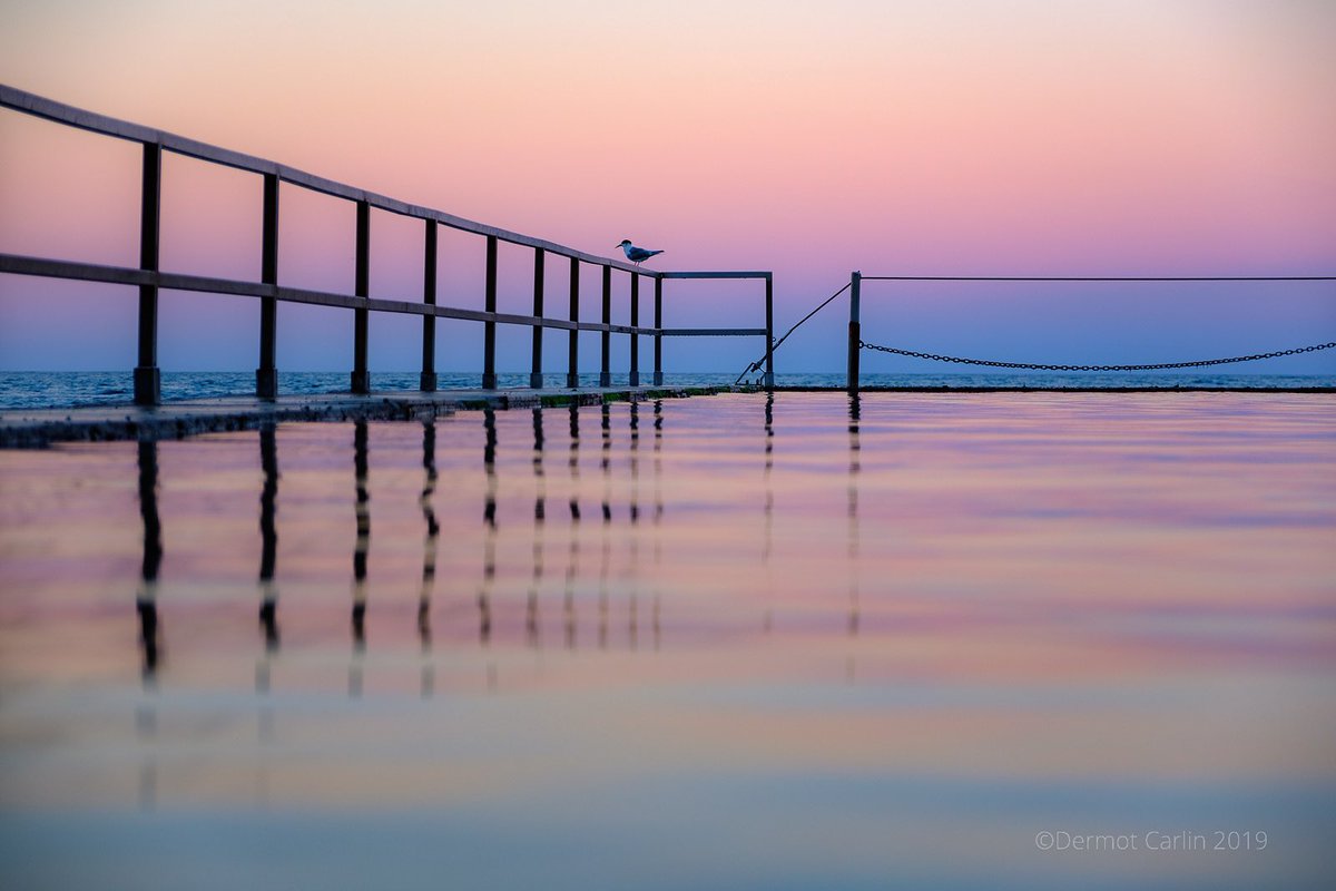 DermotCarlin's tweet photo. Cronulla Pool at Sundown @FujifilmX_AU @SuthShireCncl #cronulla #ilovesydney #cronullalife #pastels #bird https://t.co/1hP1aOru4V