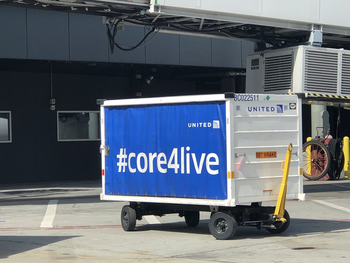 Dede Cunningham tweet media