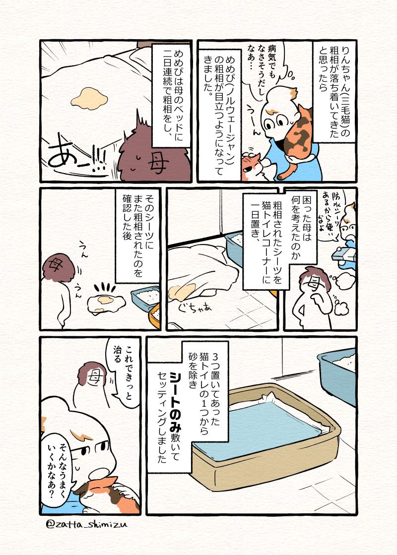 【実録漫画】愛猫たちの粗相がピタリと止まった話を描きました?☺️
猫飼いさんでもしお困りの方がいたら試してみるのも手かもしれません。

#WorldCatDay #世界猫の日 