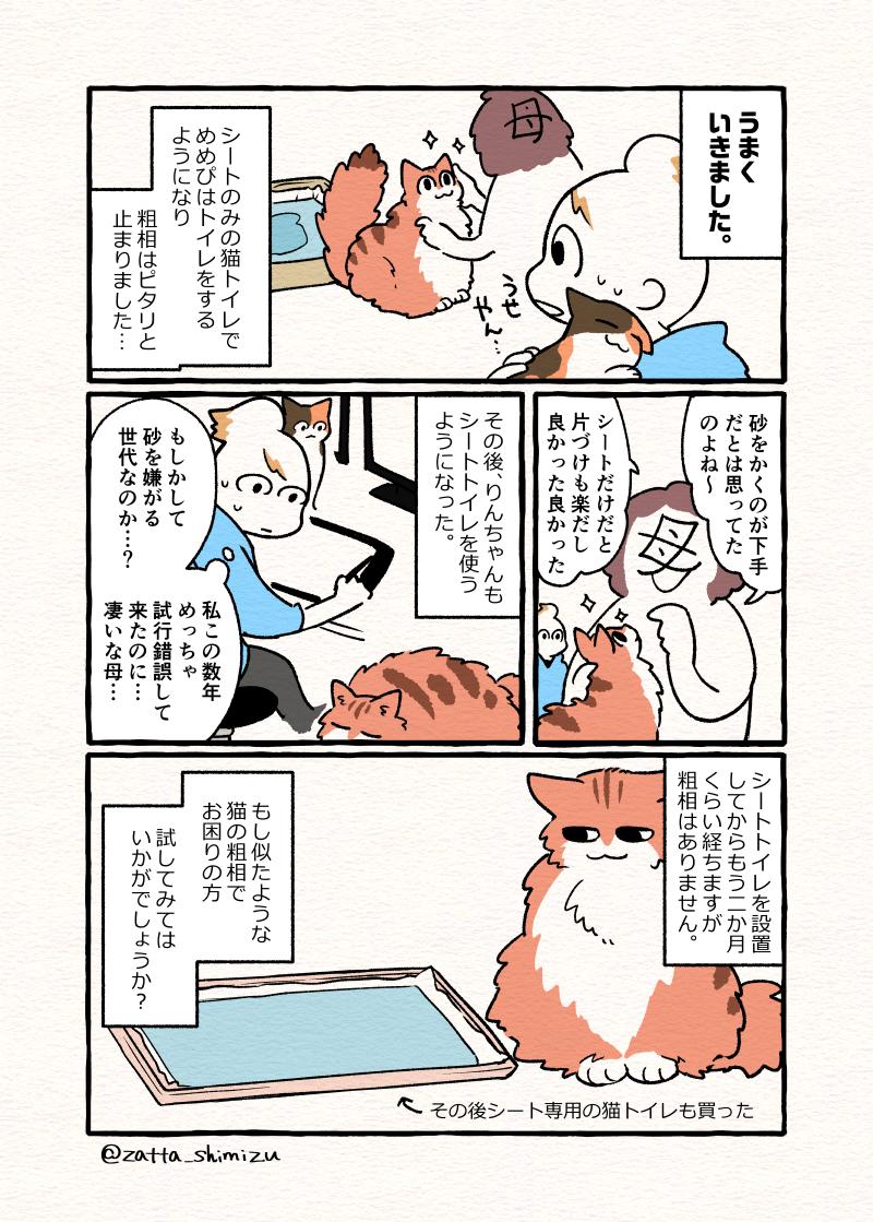 【実録漫画】愛猫たちの粗相がピタリと止まった話を描きました?☺️
猫飼いさんでもしお困りの方がいたら試してみるのも手かもしれません。

#WorldCatDay #世界猫の日 