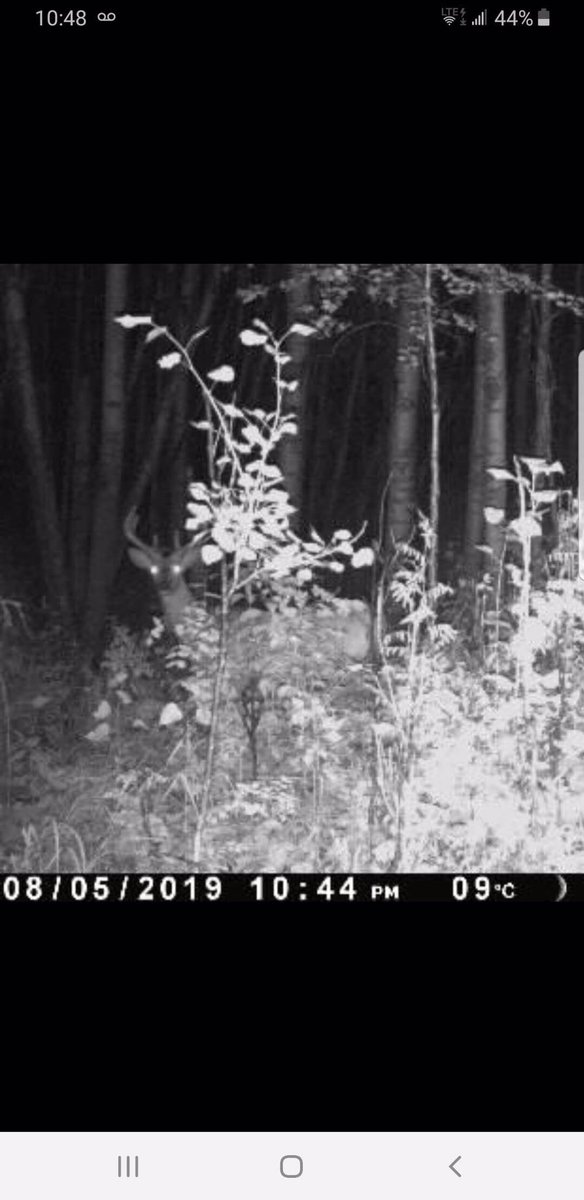altahunthelp's tweet photo. @SpypointCamera has got me covered ! We got 2 set up and sending photos #LinkMicro #cellCamera #awesome https://t.co/w5FeR6sj5Z