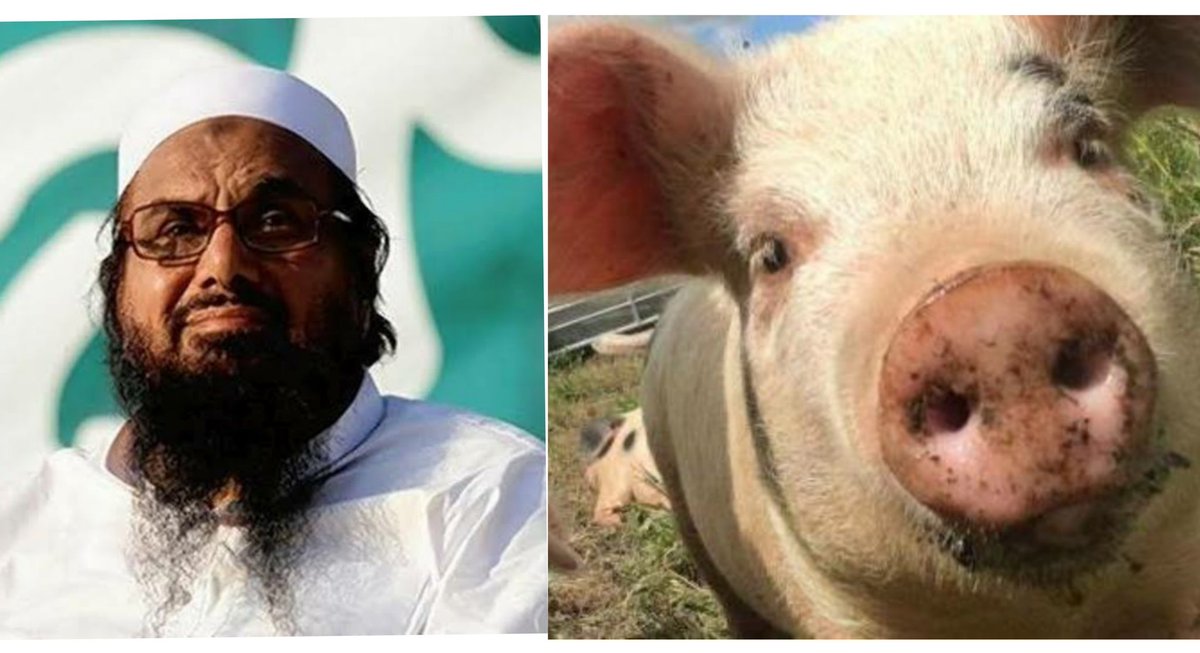 saii0821's tweet photo. @negishalini20 I am still searching difference between this two pics but I can't find any difference #PKMKB https://t.co/DNxC8ZuLtx