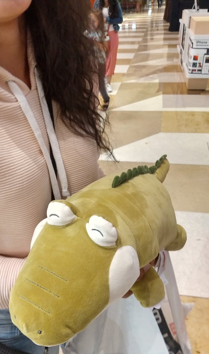 CamiloMurciaG's tweet photo. Hoy (bicentenario del 7 de octubre) se me ocurrió regalarle un cocodrilo de peluche a mi novia. Le conté que en llano, cuando venían las tropas hacia Tame, se tuvieron que cuidar de los caimanes del Orinoco y todo el rollo. Ella le puso de nombre Guasdualito. 😍 #Historygoals (?) https://t.co/r10SznDrQQ