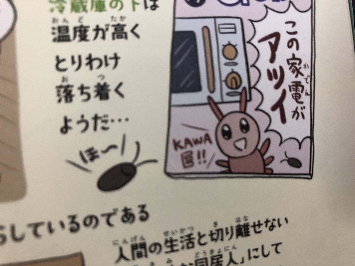 カワイイG、最初はGが苦手な人への配慮として登場したわけだが、『ふしぎな昆虫大研究』では普通にGと同居しているので、もはや何なのかわからなくなってしまった…