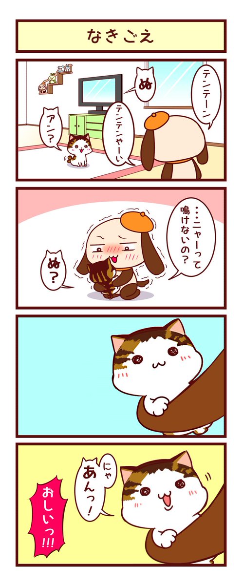 うちのお猫さんの話
#世界ネコの日 