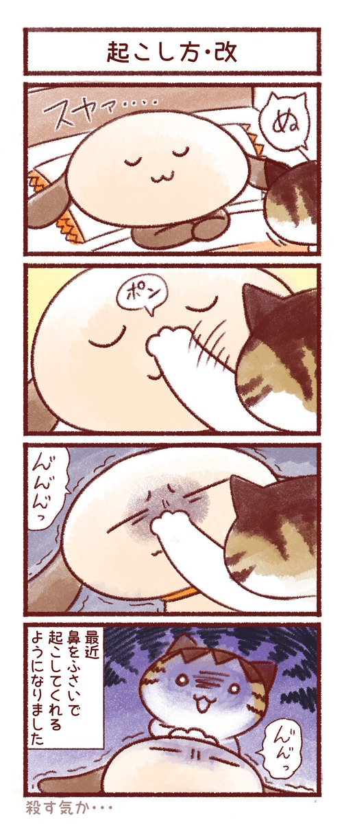 うちのお猫さんの話
#世界ネコの日 