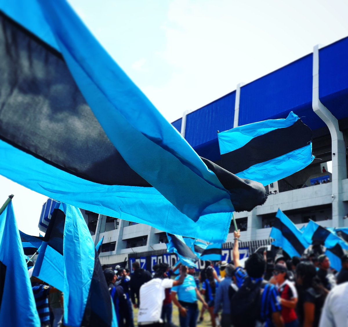 dla_tribuna's tweet photo. Me enamore tanto de tus colores, que los llevo tatuados para siempre!!!
#SoloAzulYNegro #GallosBlancos #Queretaro #CastaDeGallo #SiempreGallos #SoyDeGallos #EstadioCorregidora #ResistenciaAlbiazul https://t.co/7qchRiccRS
