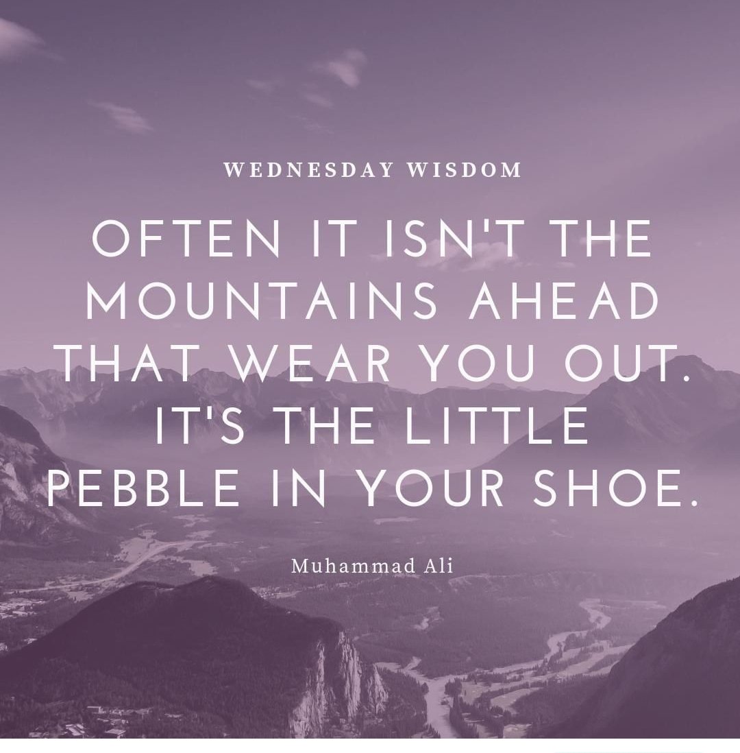 EHS_PCAF's tweet photo. "Often it isn't the mountains ahead that wear you out, it's the little pebble in your shoe." Muhammad Ali
#wednesdaynightwisdom https://t.co/5bIFCrLCY4