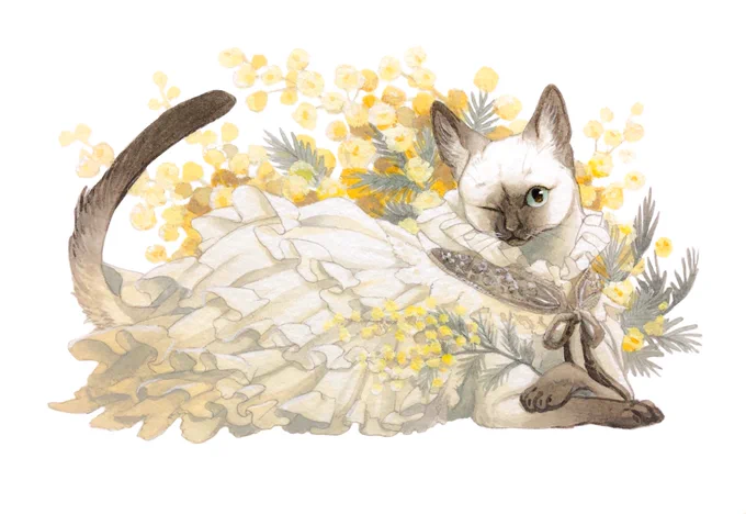 にゃんこー! #世界猫の日 
