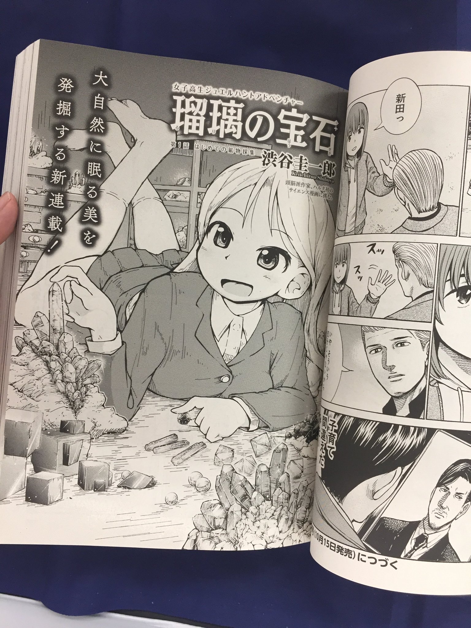 瑠璃の宝石 連載開始号　ハルタ ハルタ on X: 